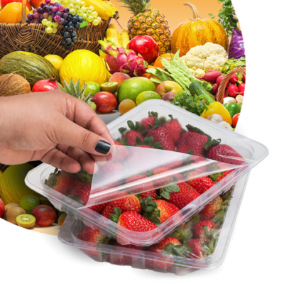 FLV (Frutas, Legumes e Verduras)